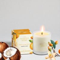 Ashleigh & Burwood Amber & Orange Blossom Scented Candle Extra Image 1 Preview